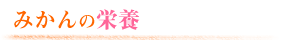 ݂̉h{
