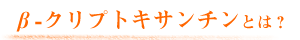 -NvgLT`Ƃ́H