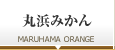 丸浜みかん