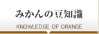 みかんの豆知識