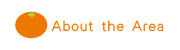 About the Area