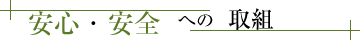 SESւ̎g
