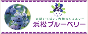 丸浜ブルーベリー